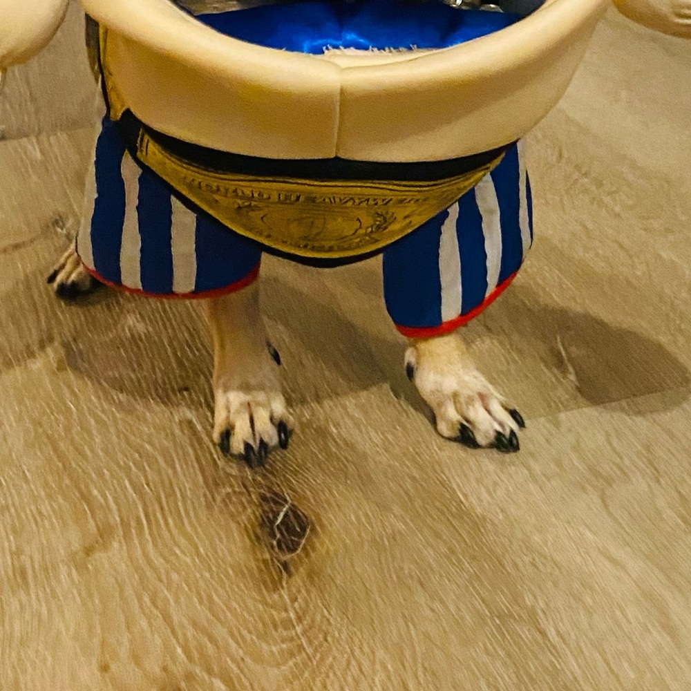 EUC [Halloween Costumes] Pro Boxer + Belt Dog Cat Pet Halloween Costume Sz Small - Picture 8 of 10